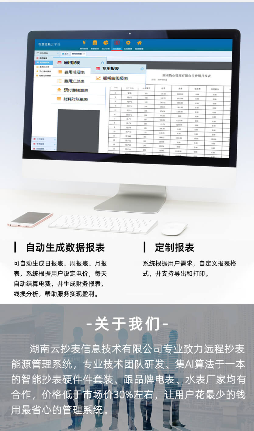 長沙威勝DDZY102-Z無線NB單相電表